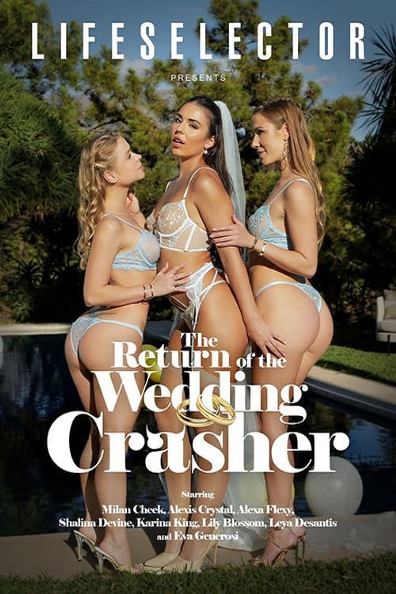 The Return of the Wedding Crasher filmaffisch