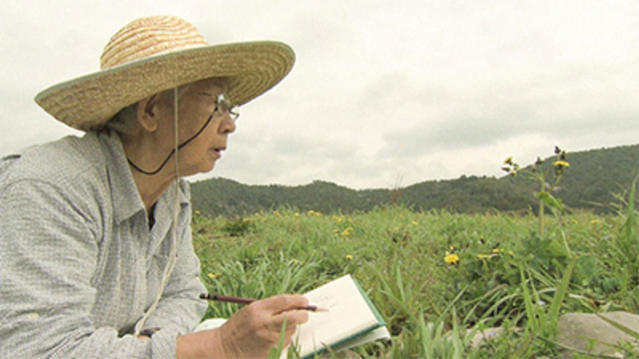 NHK Documentary — Épisode 21