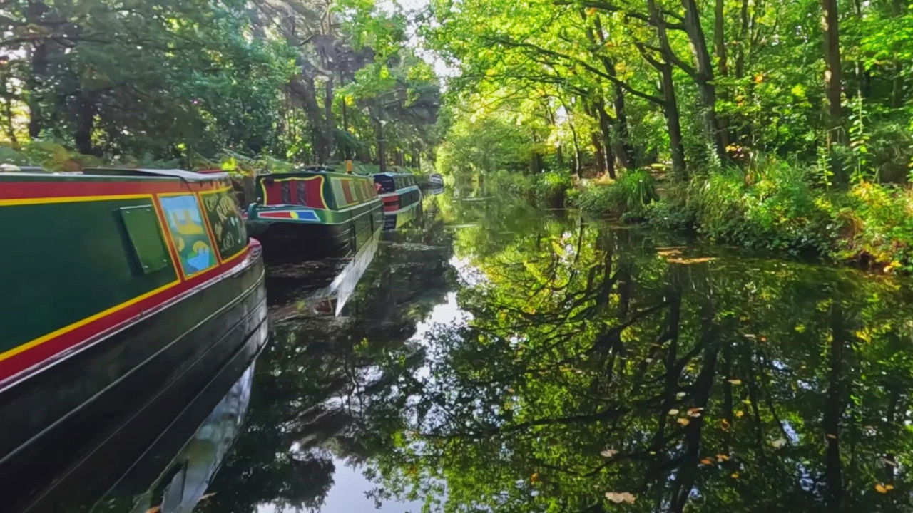 Byfleet to Odiham Castle