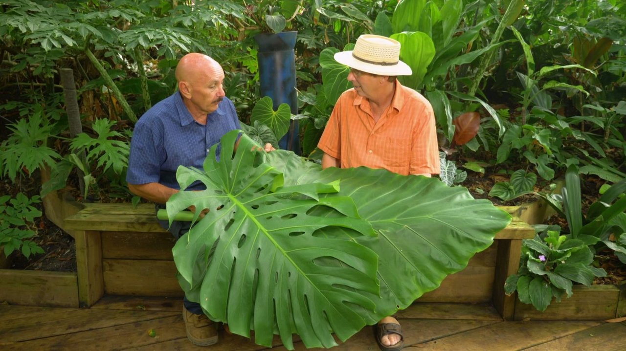 Gardening Australia - Season 30 Episode 17 : Episode 17