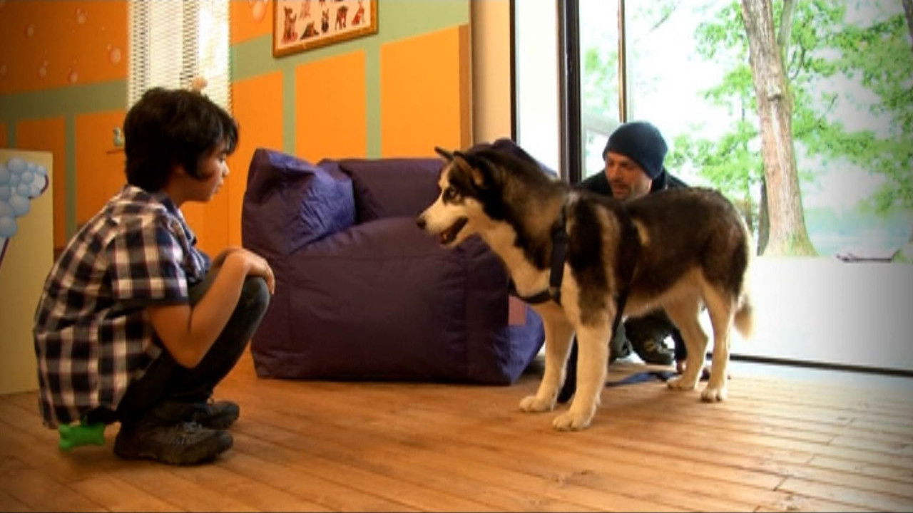 Missione cuccioli — Épisode 12