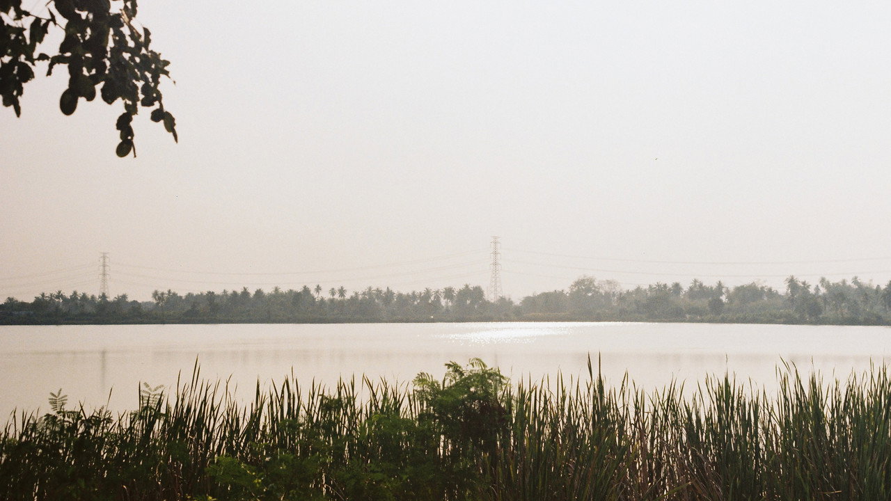 Navillera