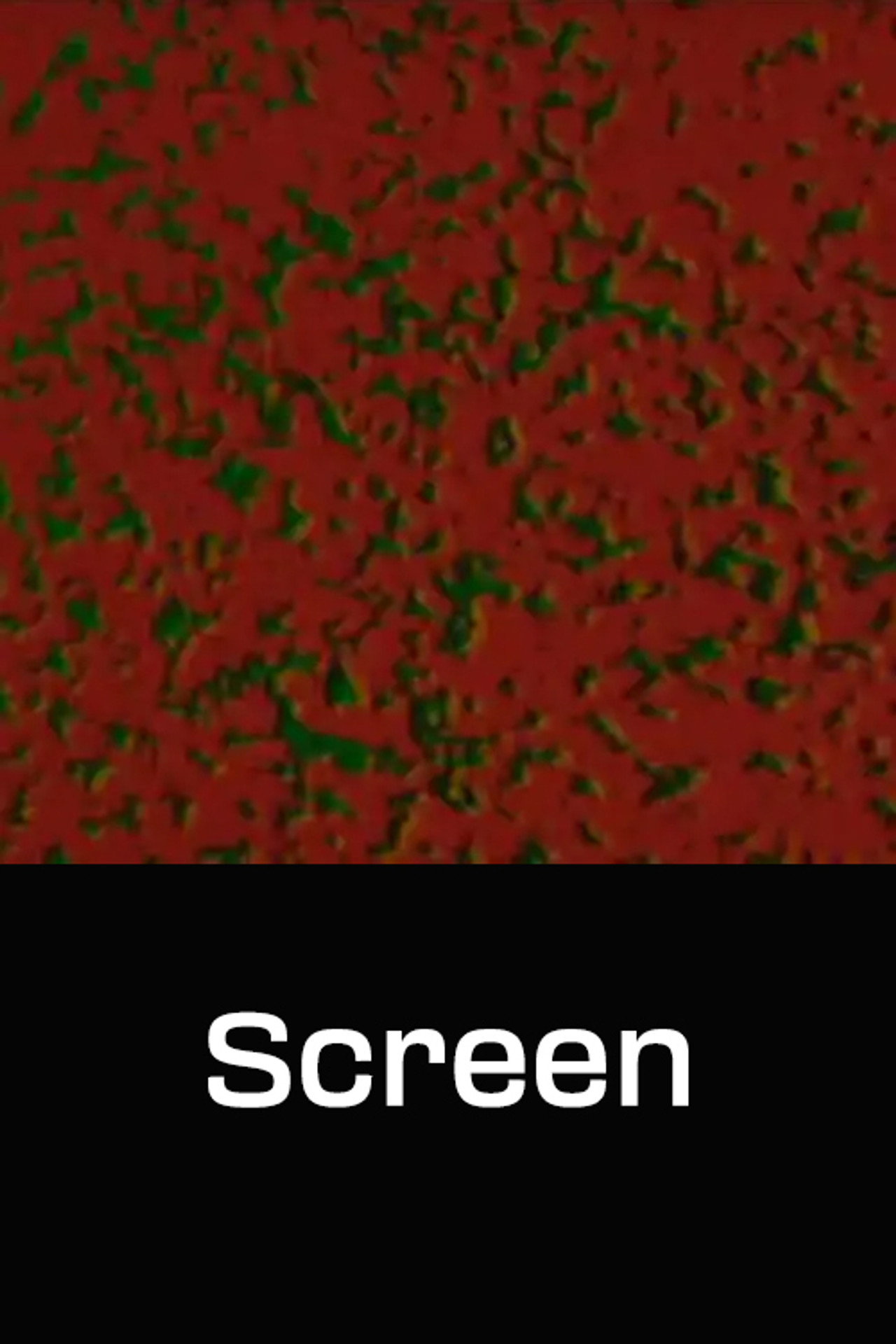 Screen filmaffisch