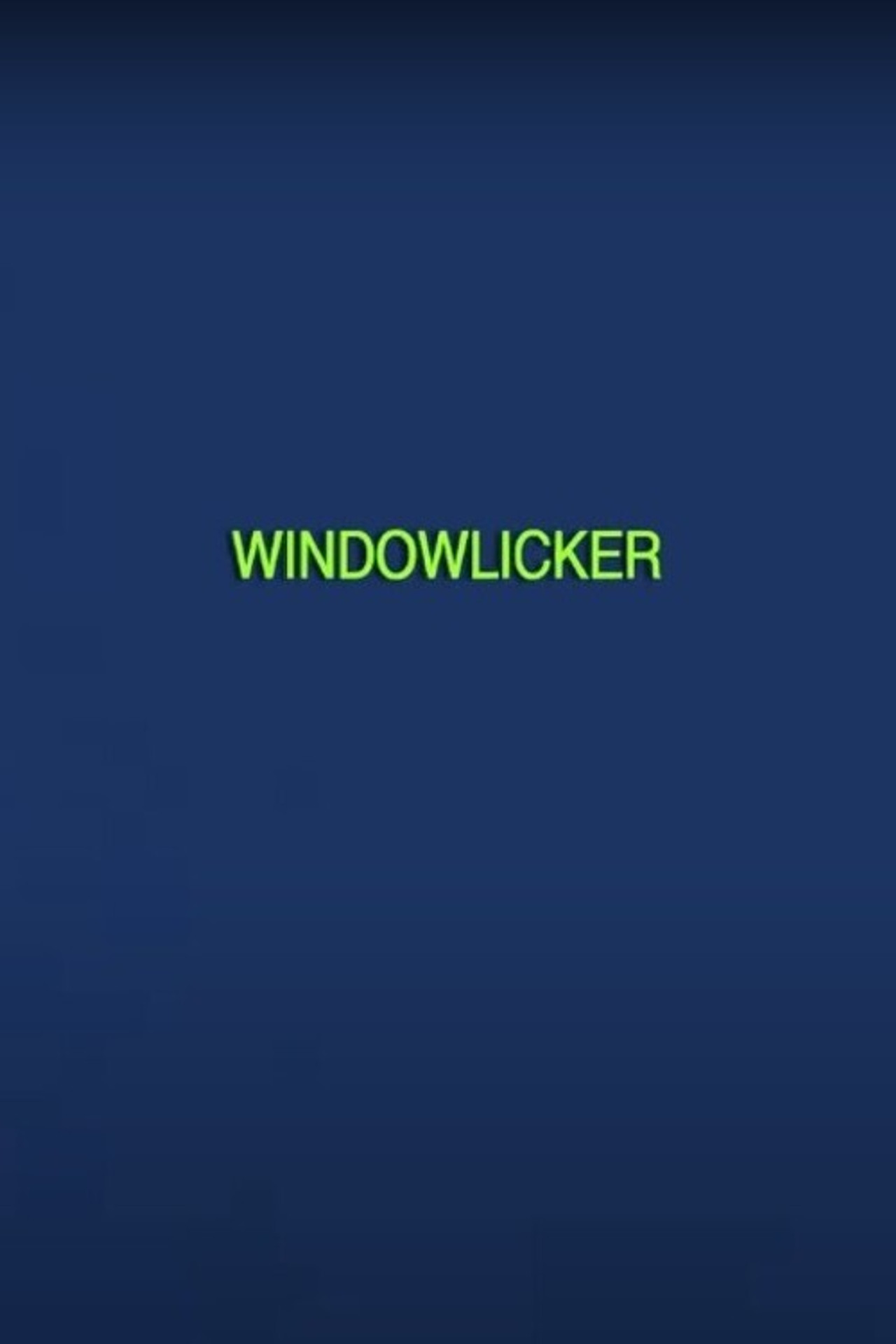 Windowlicker poster