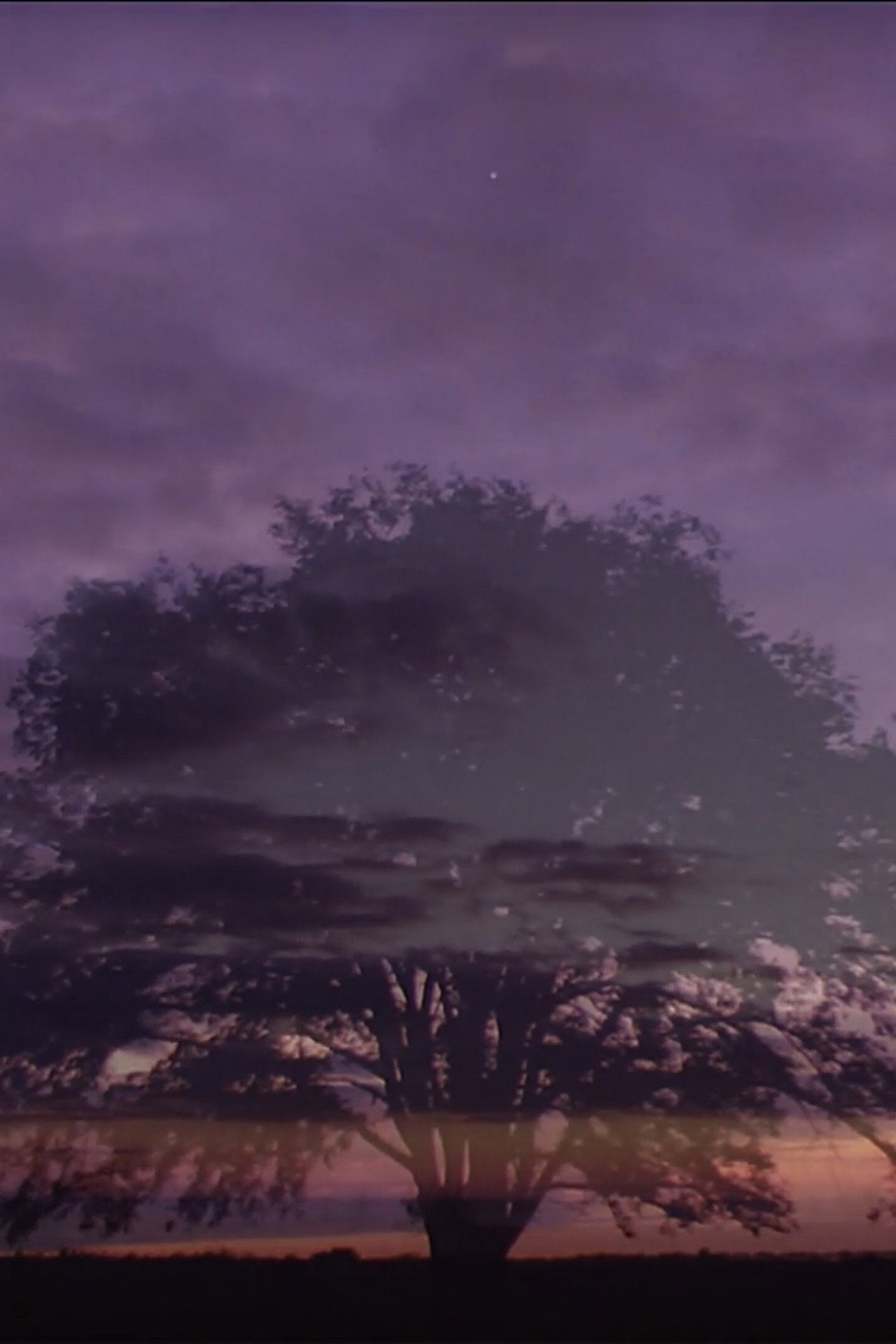 愛の天文学 filmaffisch