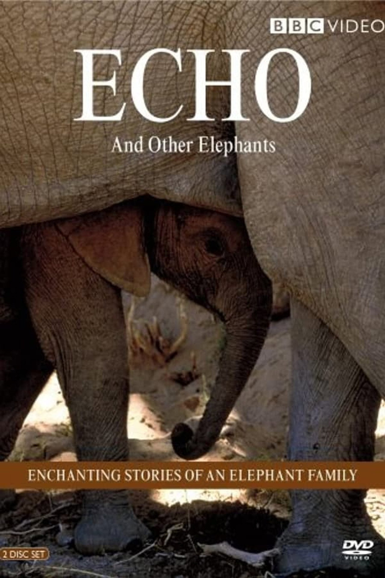 Echo and Other Elephants