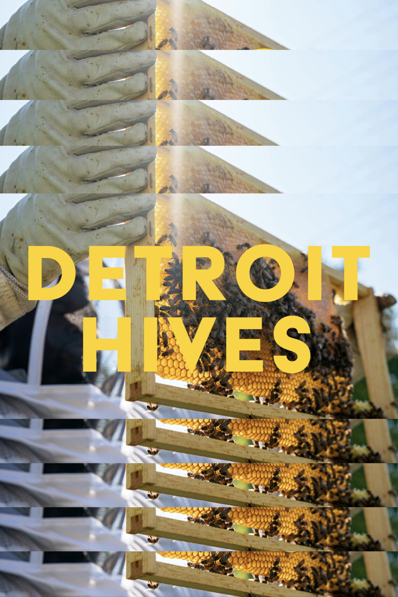 Detroit Hives filmaffisch