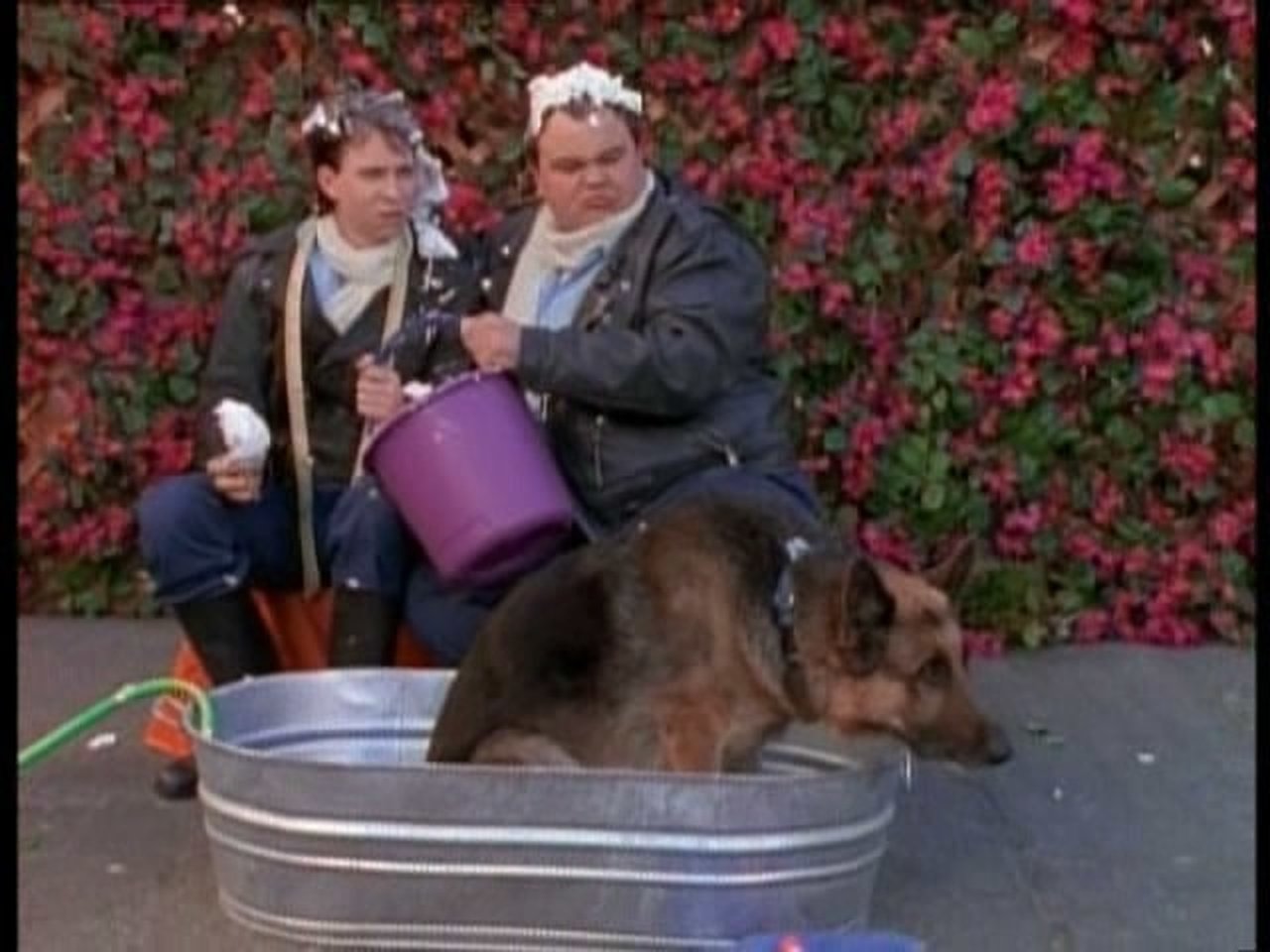 Power Rangers - Season 4 Episode 7 : Every Dog Has His Day