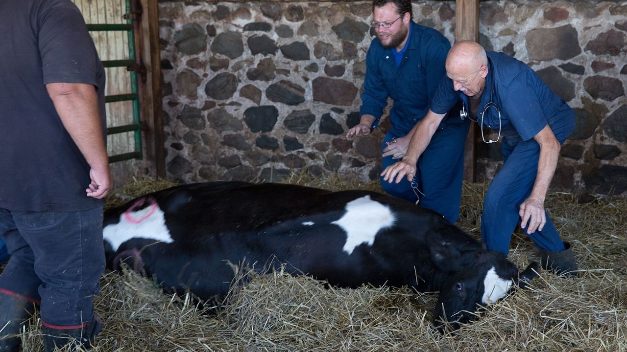 The Incredible Dr. Pol - Season 5 Episode 6 : Barking Bad