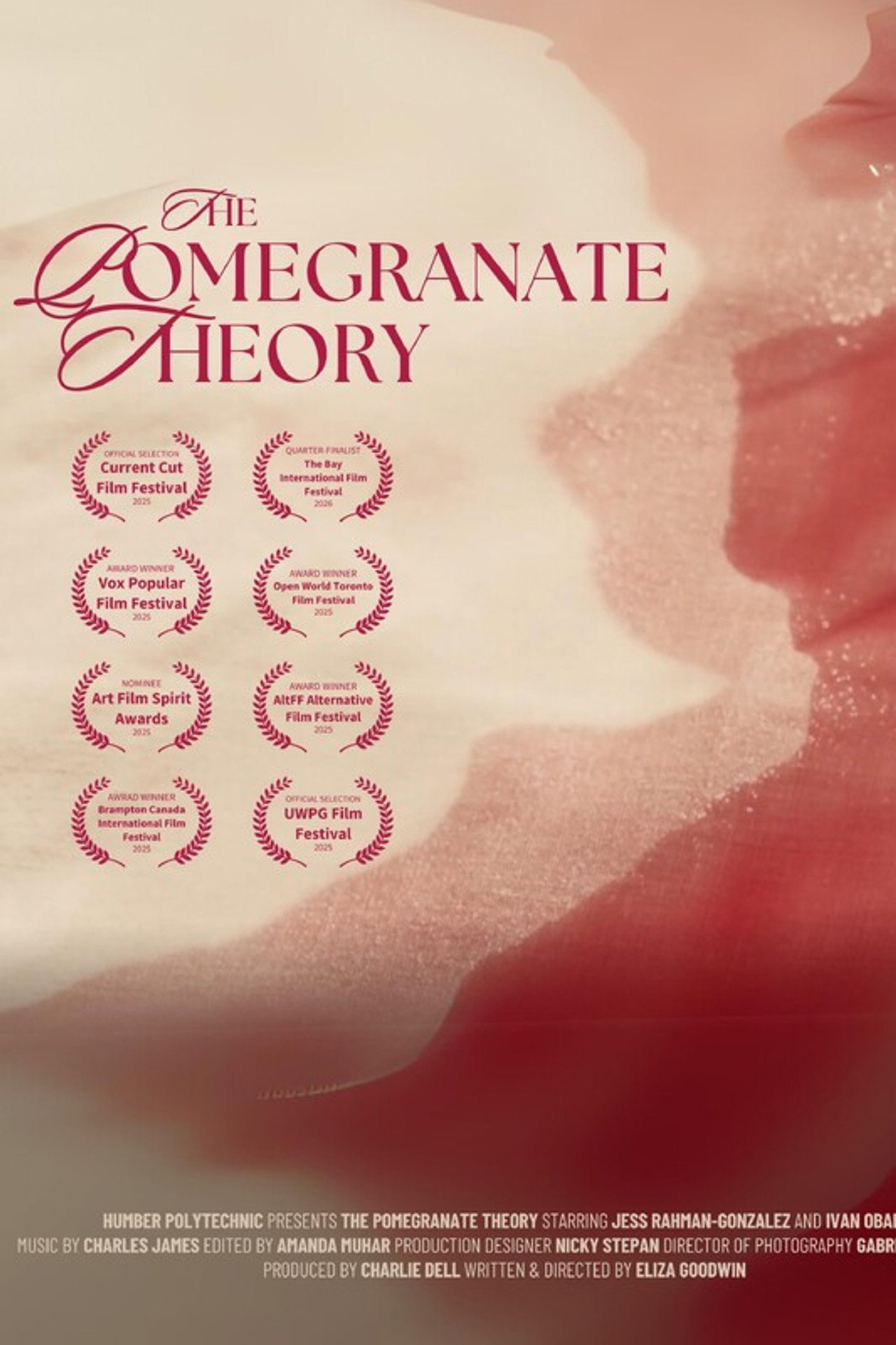 The Pomegranate Theory filmaffisch