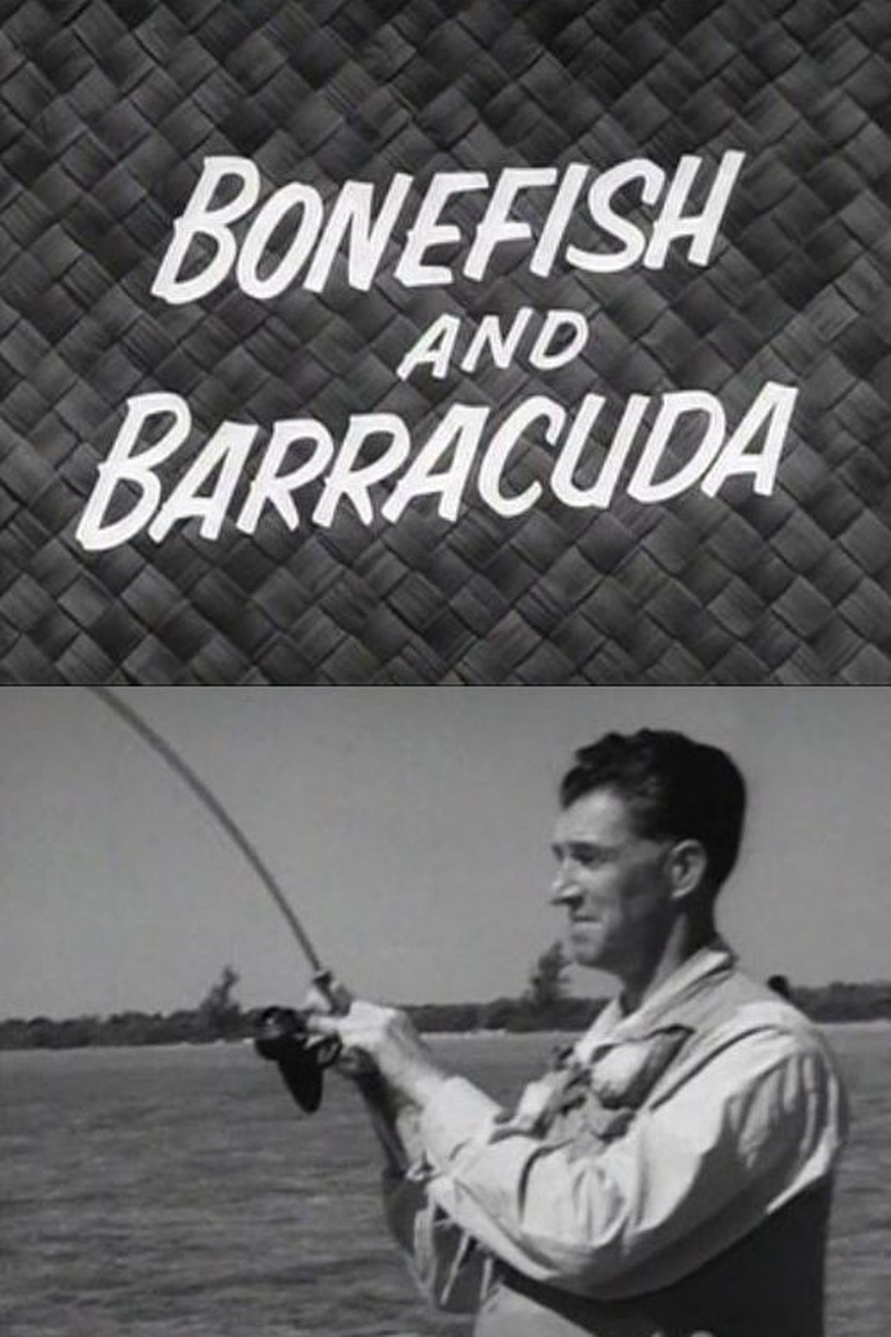 Bonefish and Barracuda