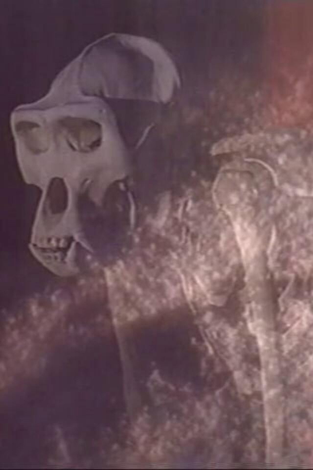 塩のエスプリ filmaffisch