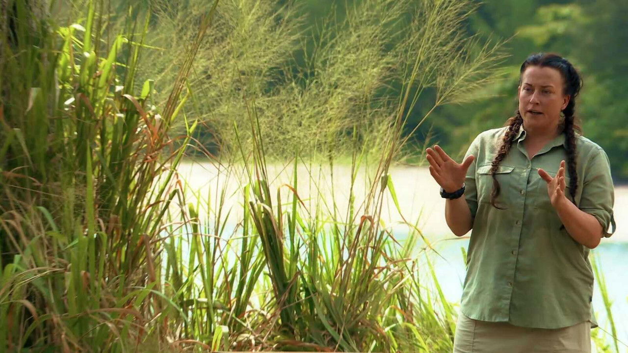 Robinson - Season 22 Episode 10 : Episode 10