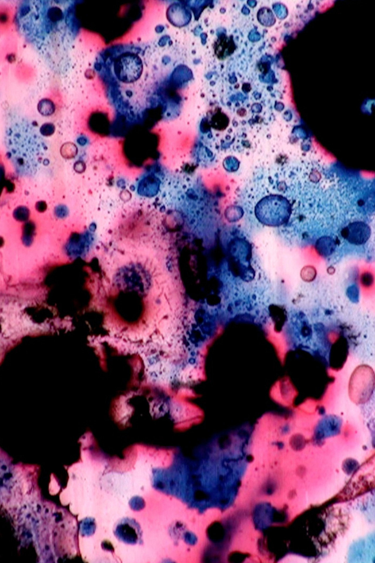 Blue Movement filmaffisch