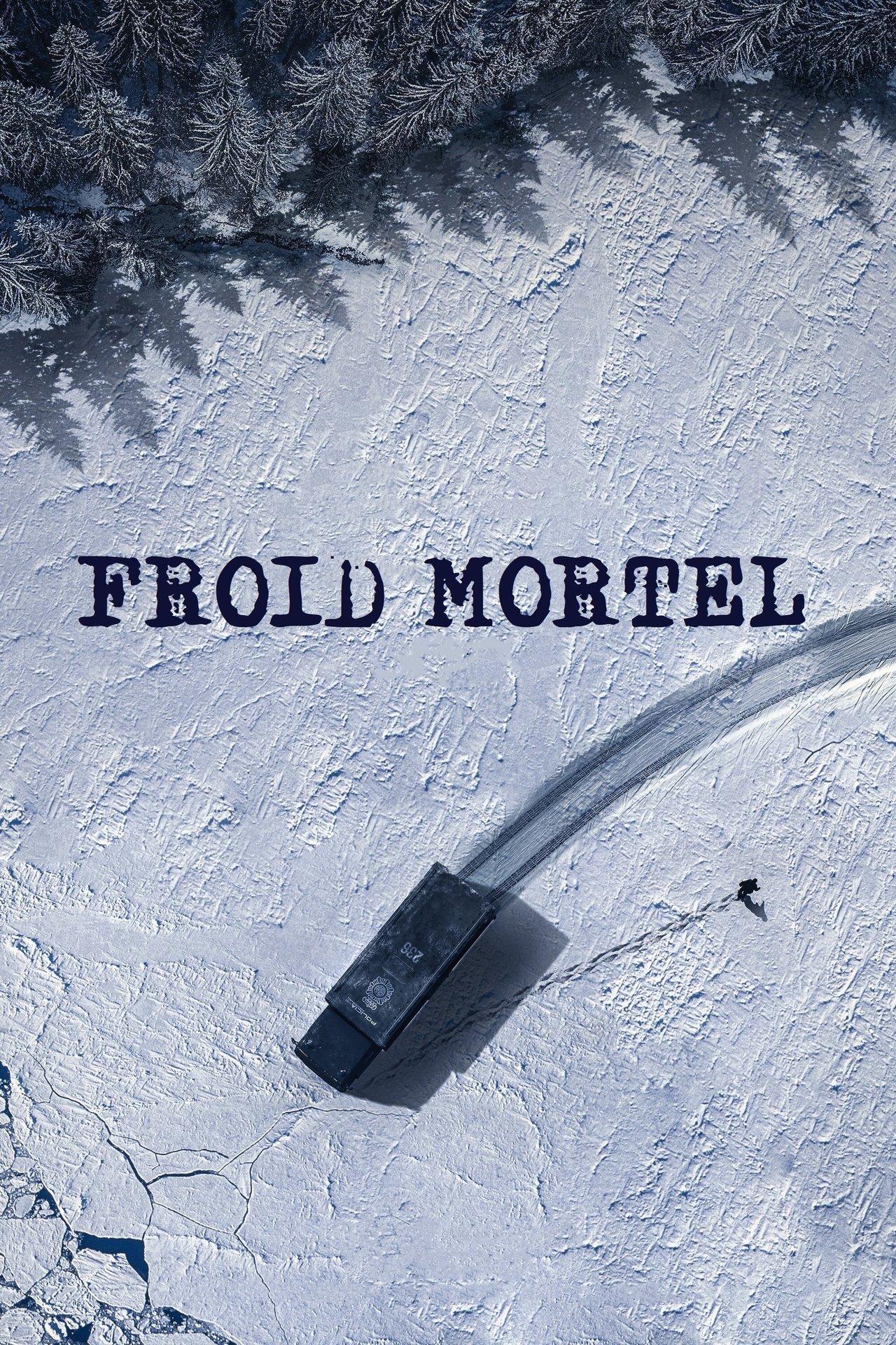 Froid mortel poster