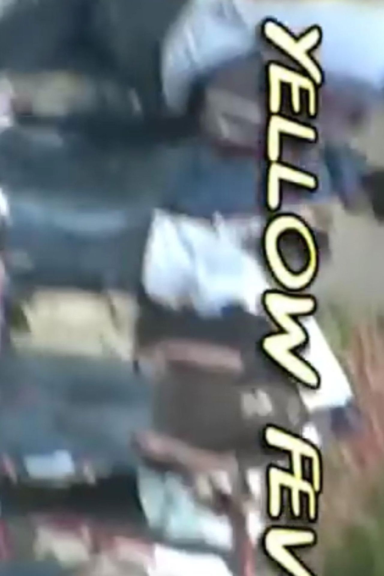 Yellow Fever Backdrop