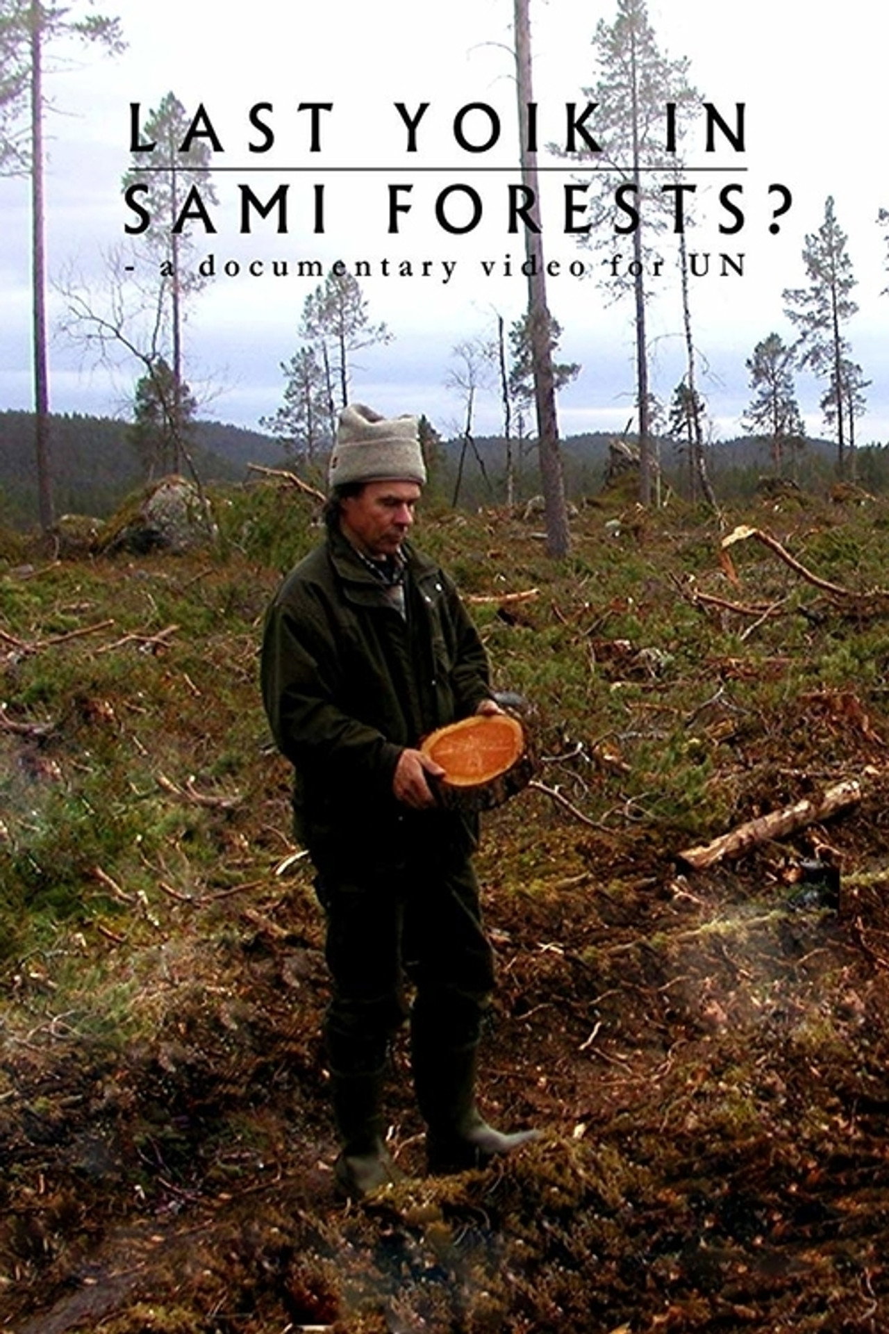 Last Yoik in Saami Forests? Backdrop