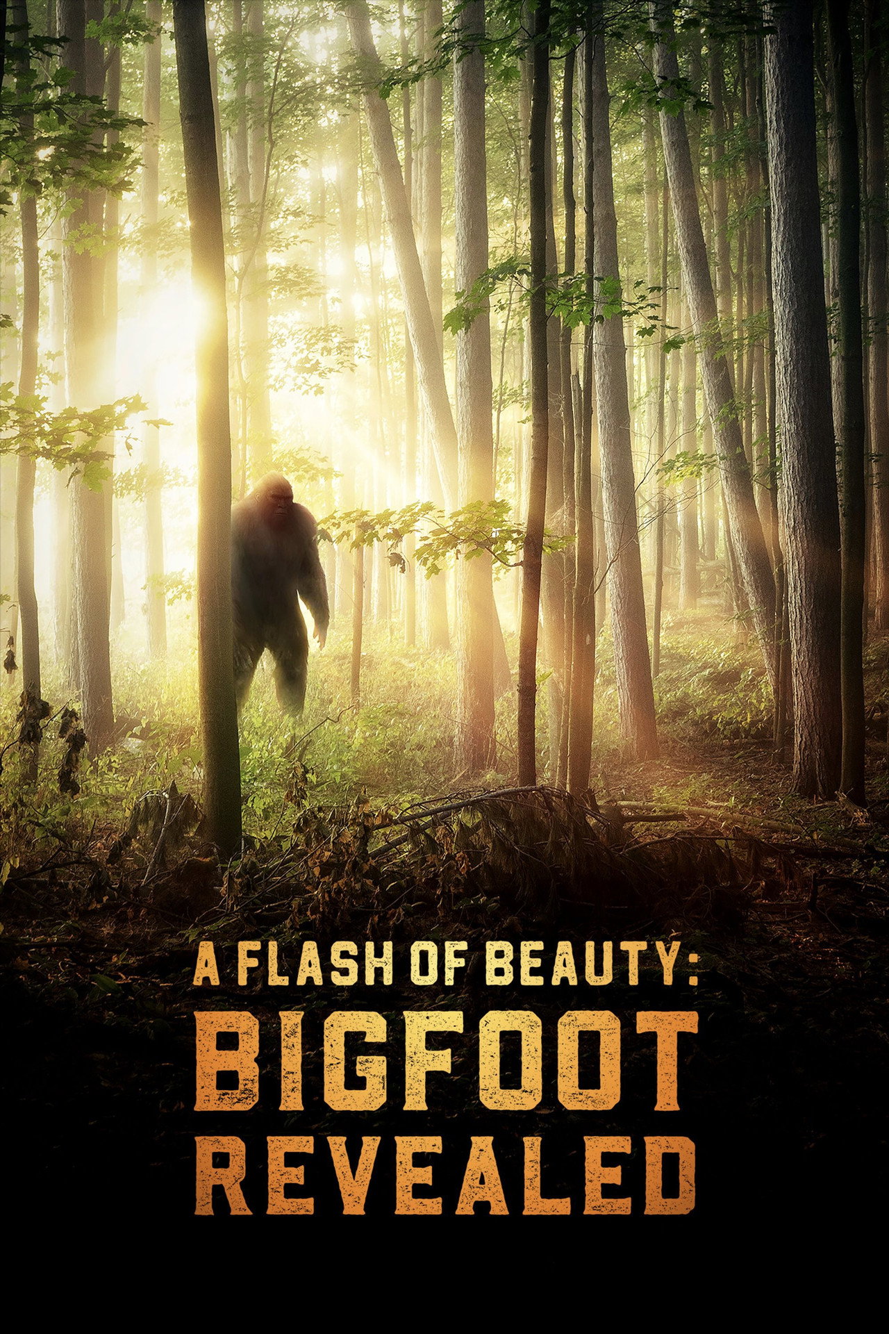 A Flash of Beauty: Bigfoot Revealed filmaffisch