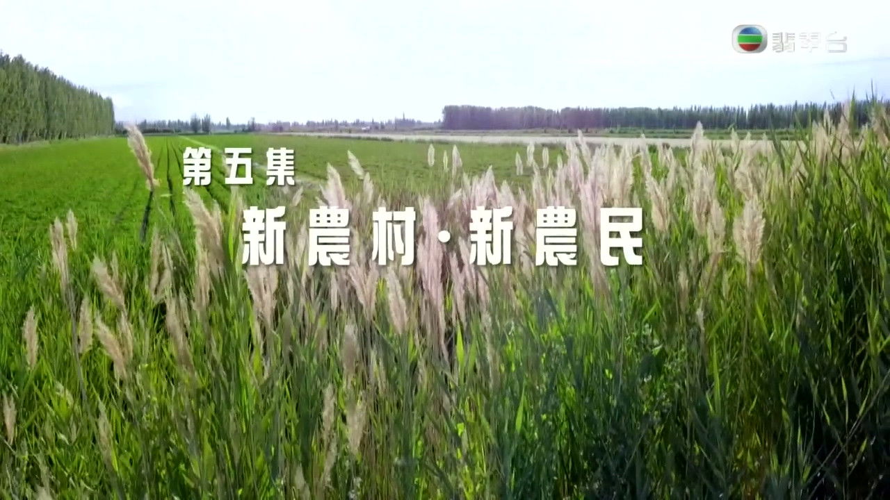 改革開放四十年 — Épisode 5