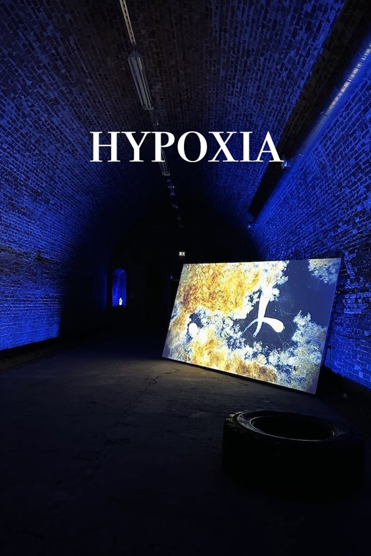 Hypoxia