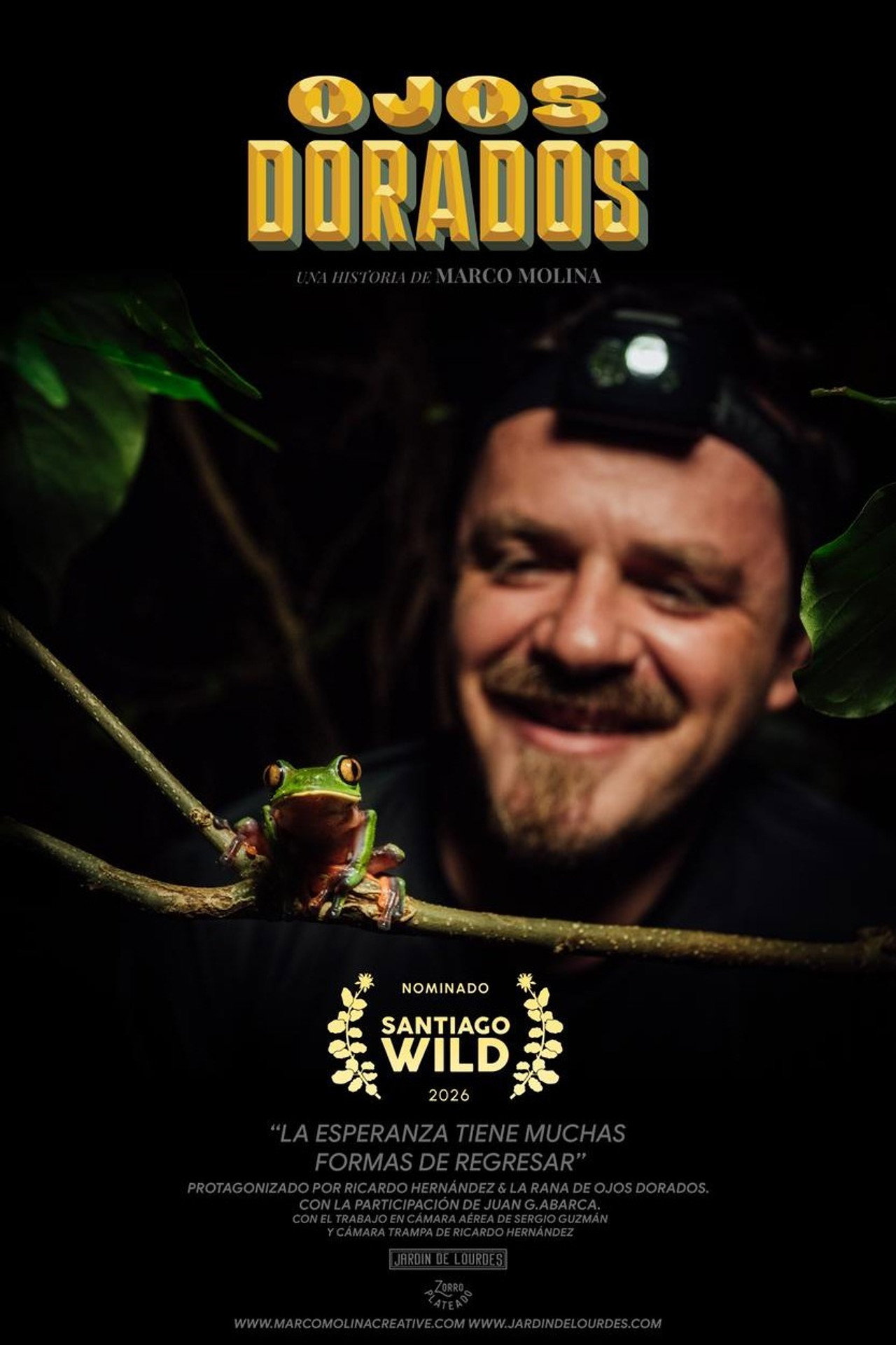Golden Eyes poster
