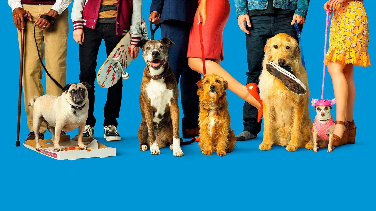 I love dogs