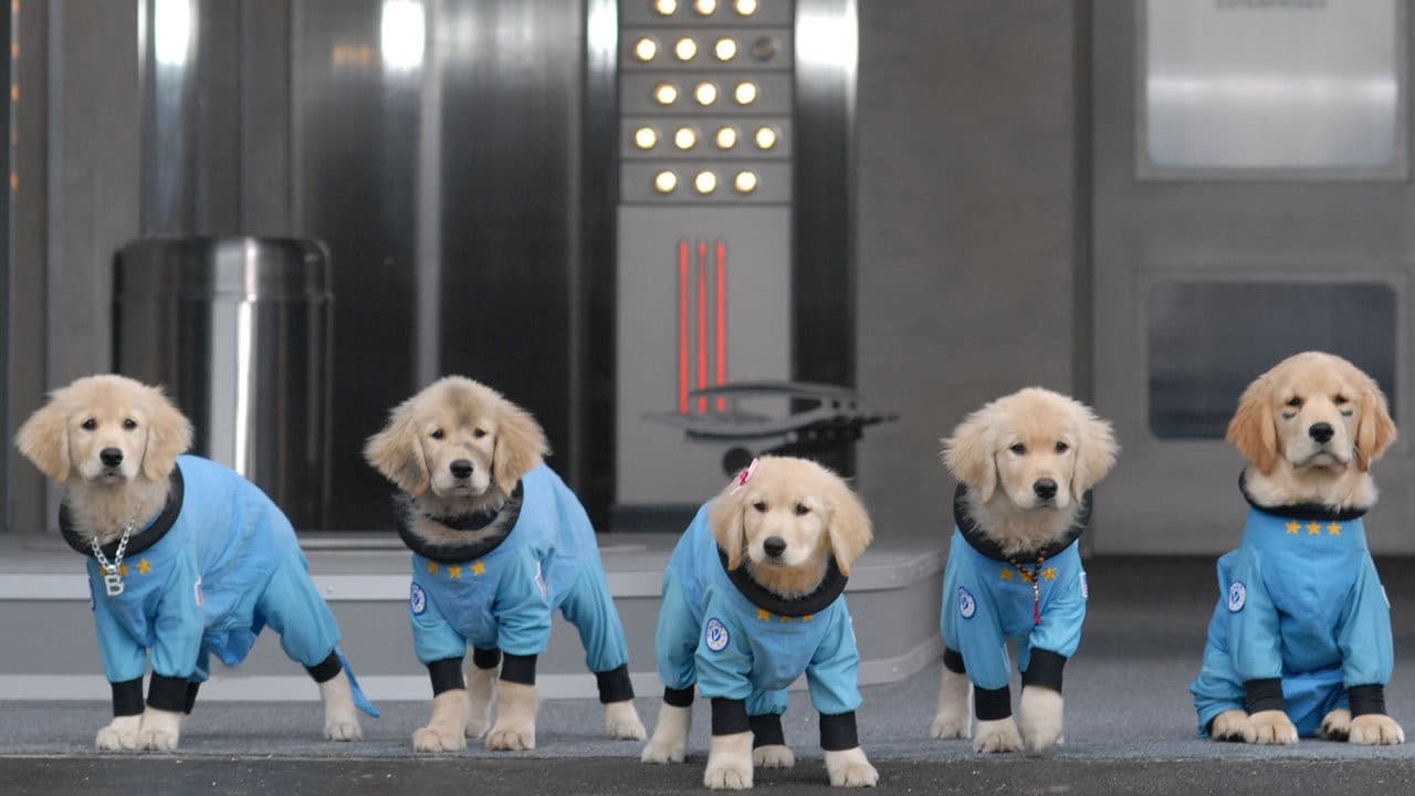 Space Buddies photo 1