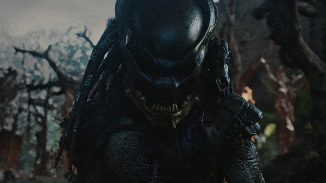 Predators