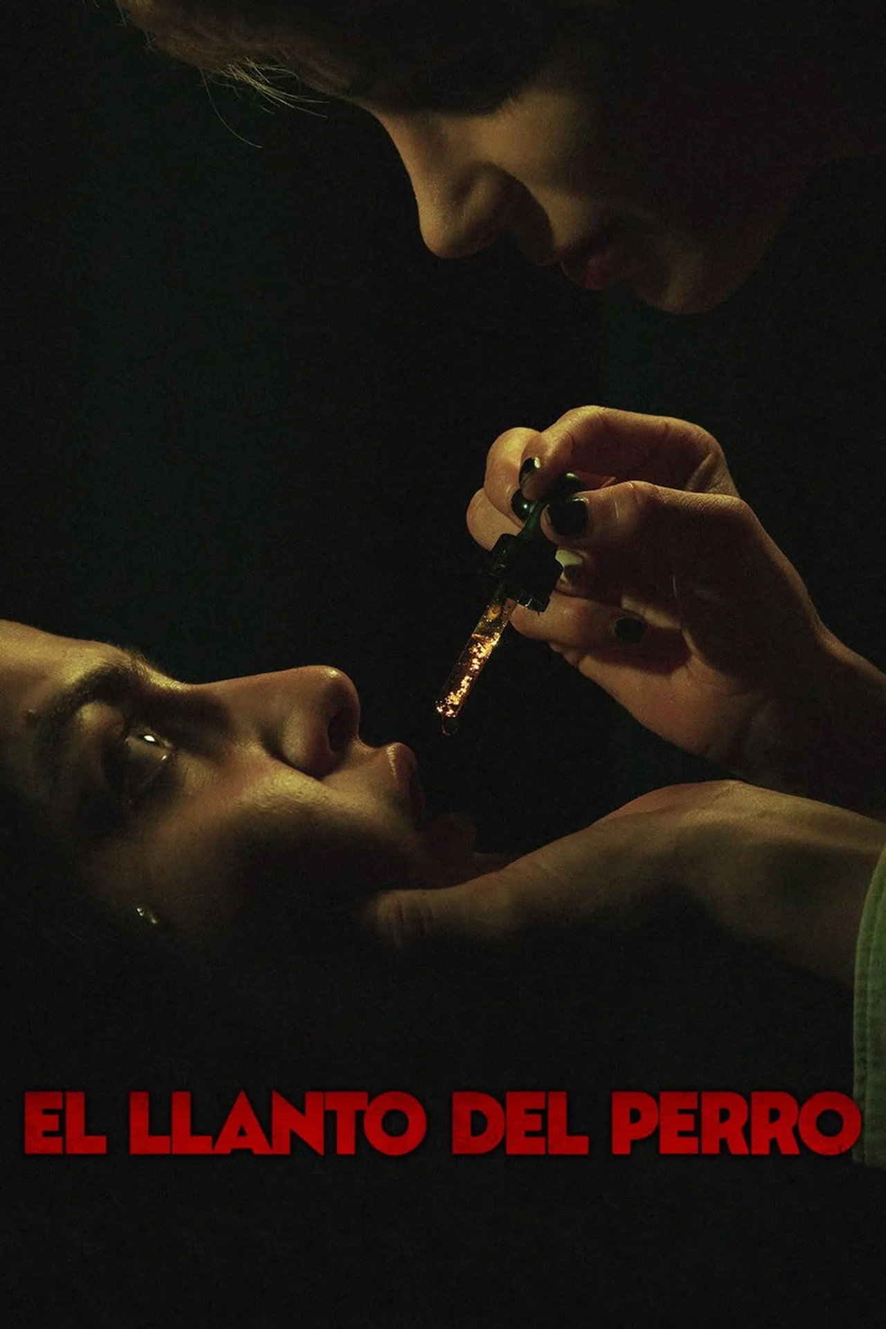 El llanto del perro filmaffisch