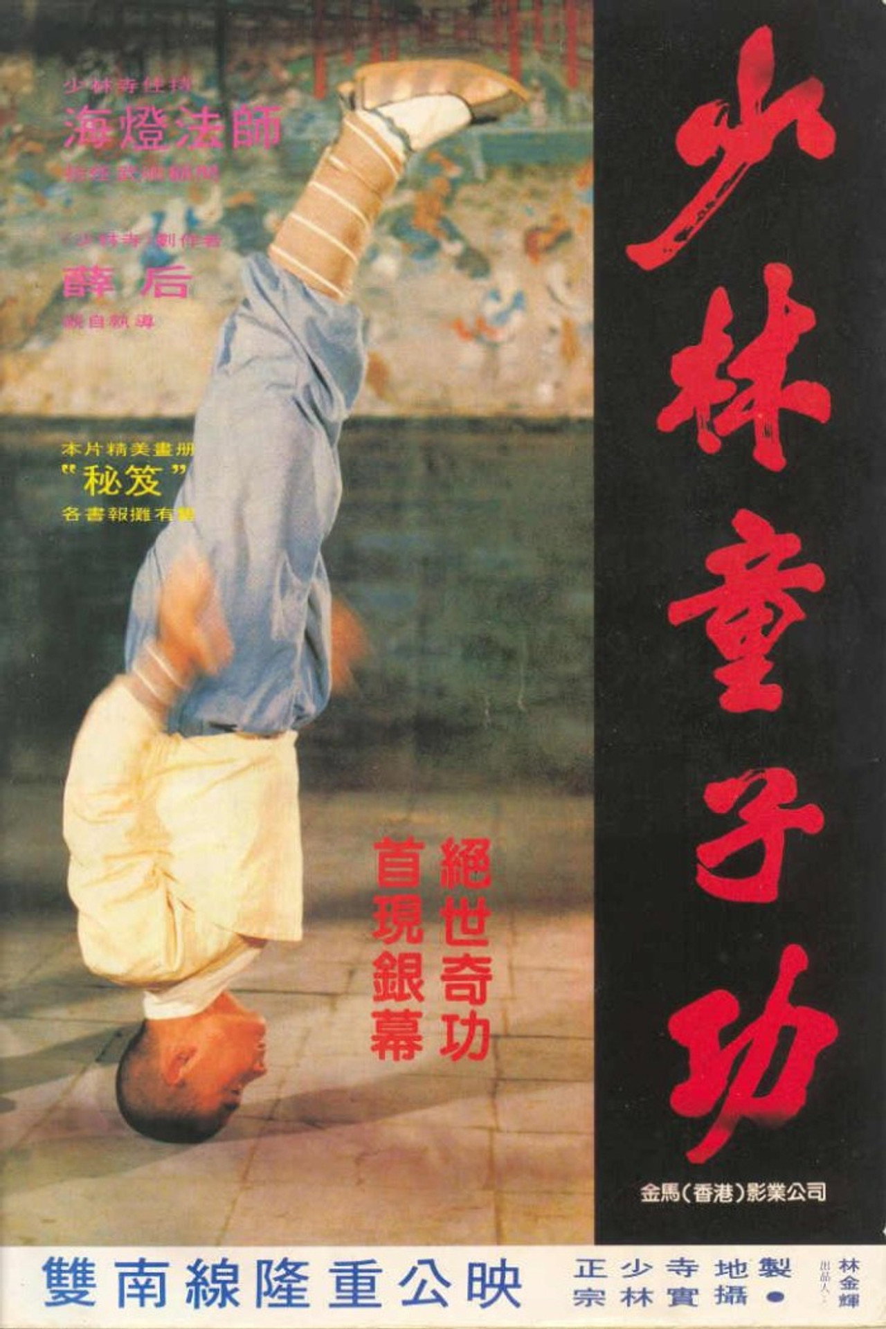 少林童子功 filmaffisch