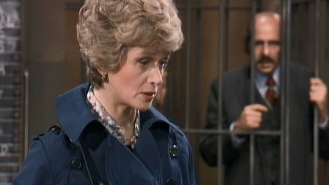 Barney Miller - Season 1 Episode 10 : The Guest
