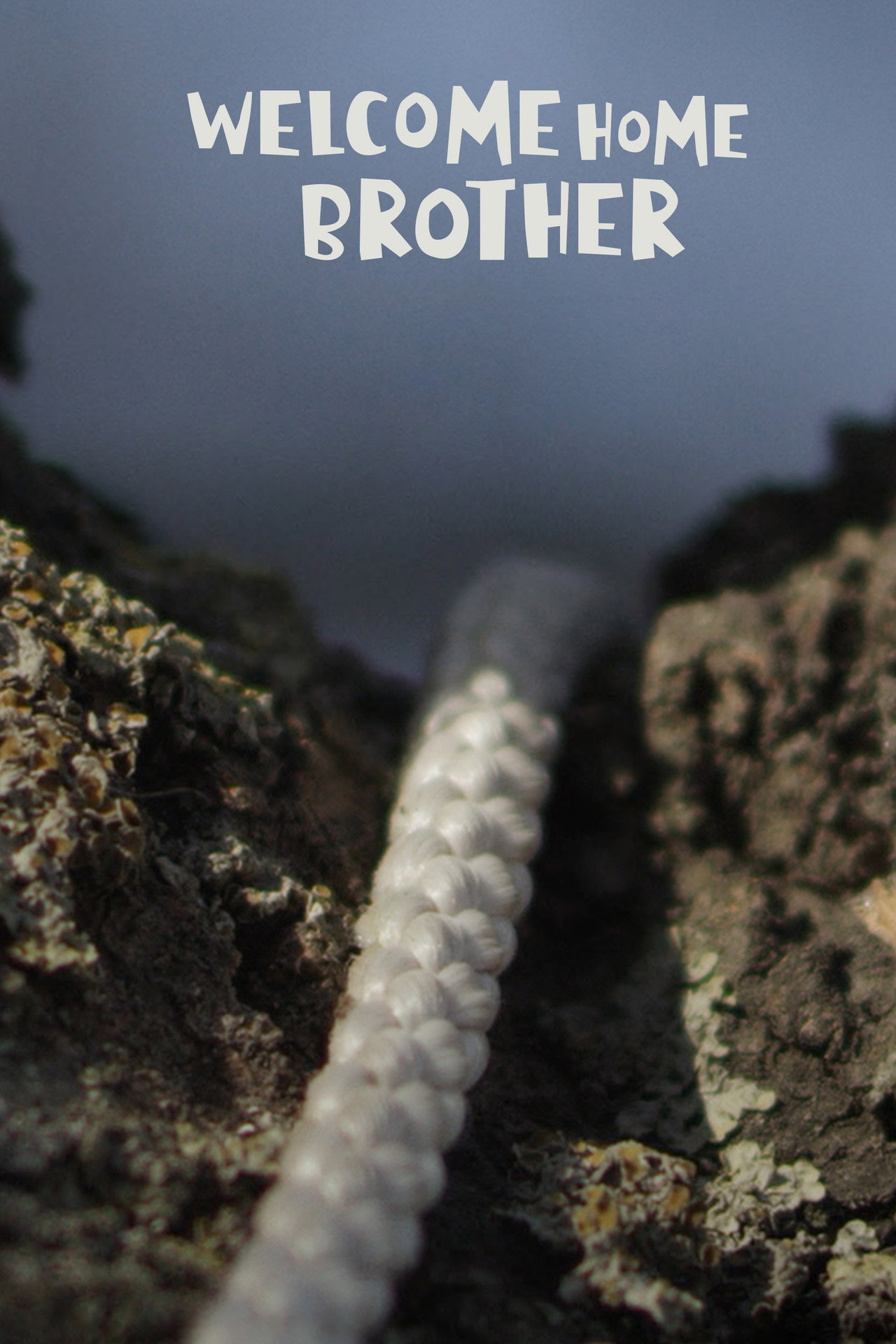 Welcome home brother filmaffisch