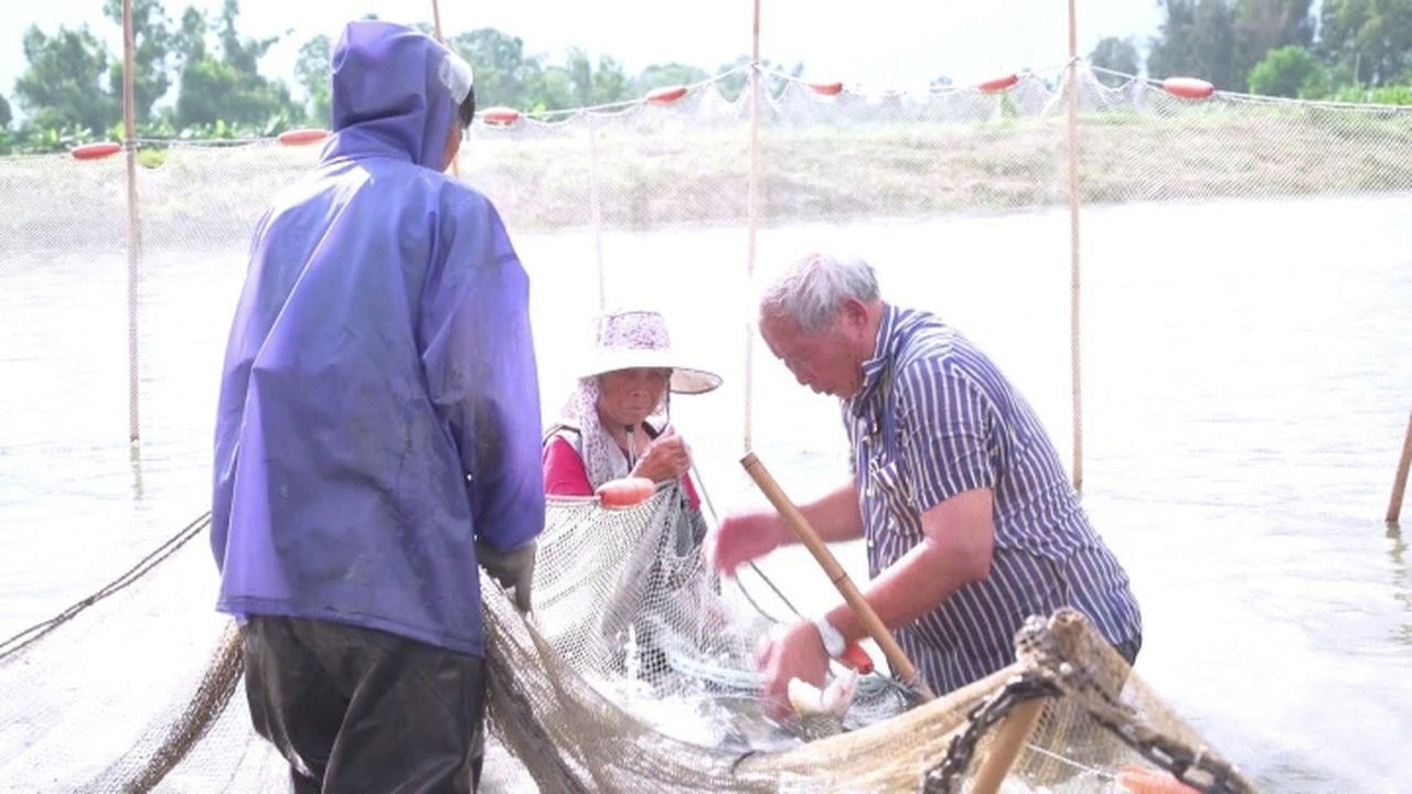 香港原味道 — Épisode 29