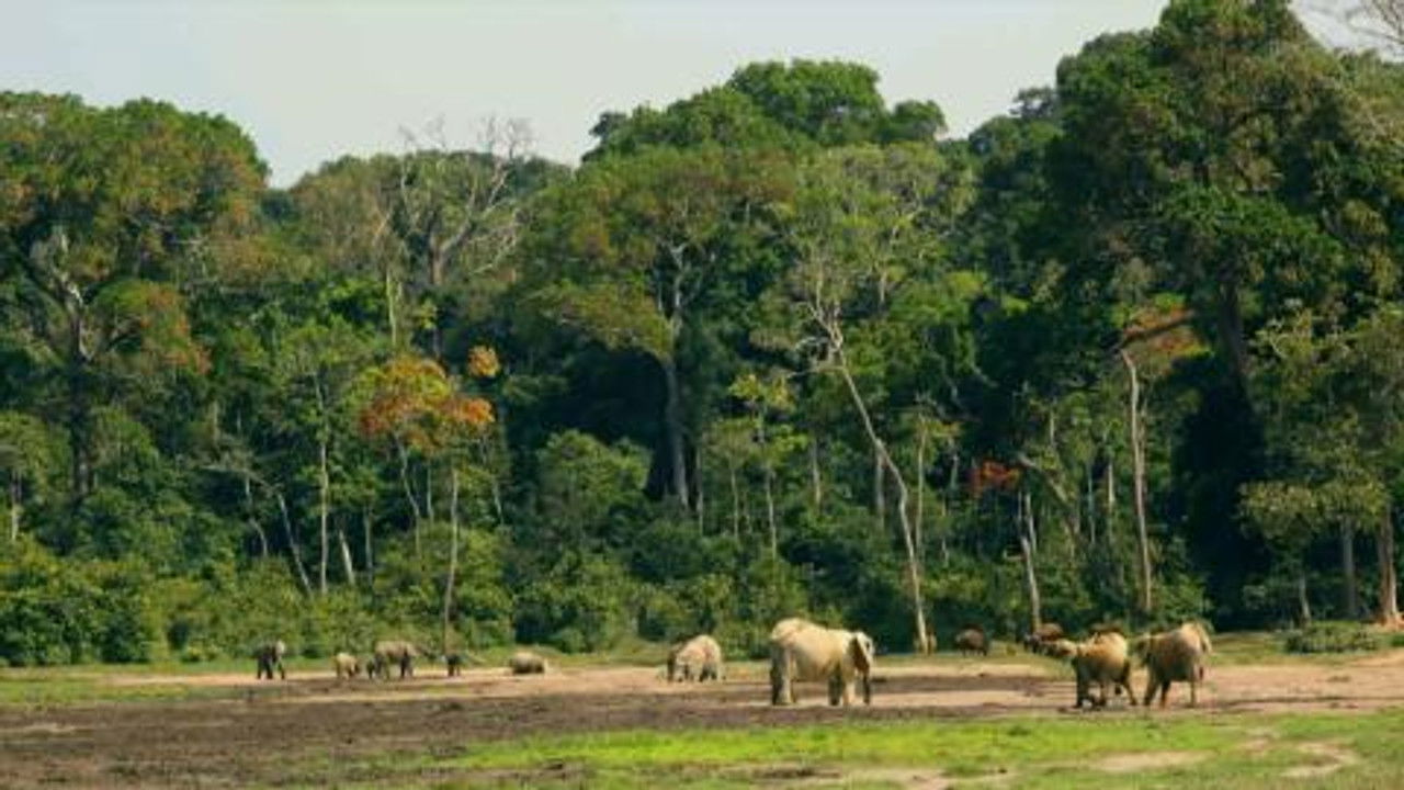 Wild Frank — Épisode 2