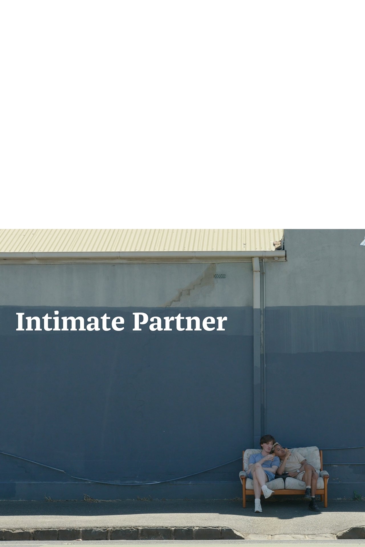 Intimate Partner Intimate Partner