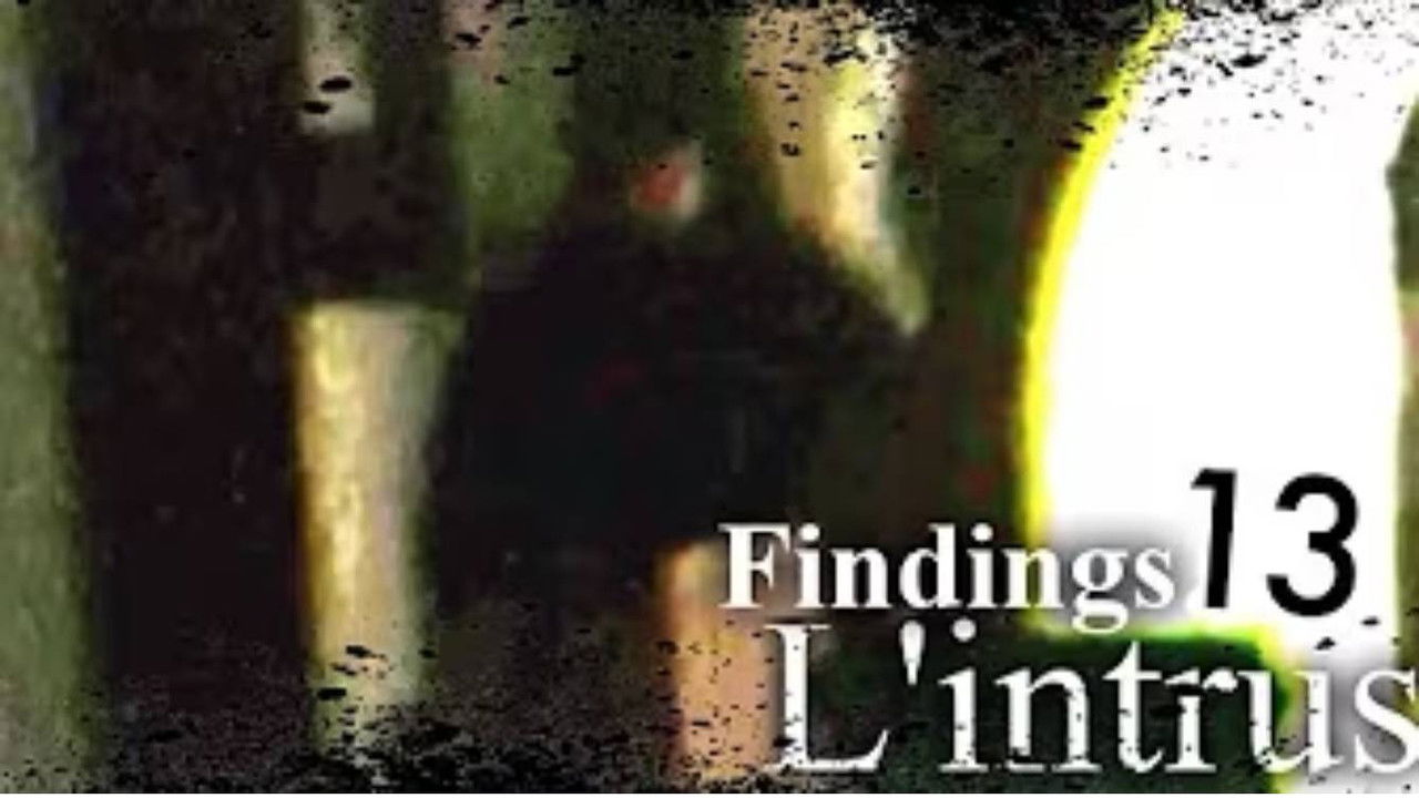 Findings — L'affaire u/skina555 - Findings N°13