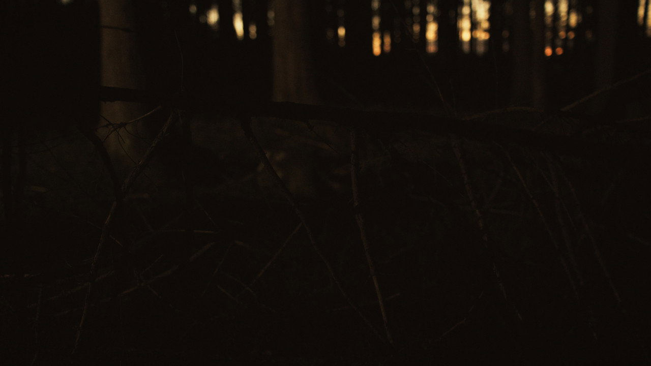 The Hunting Blind still 8