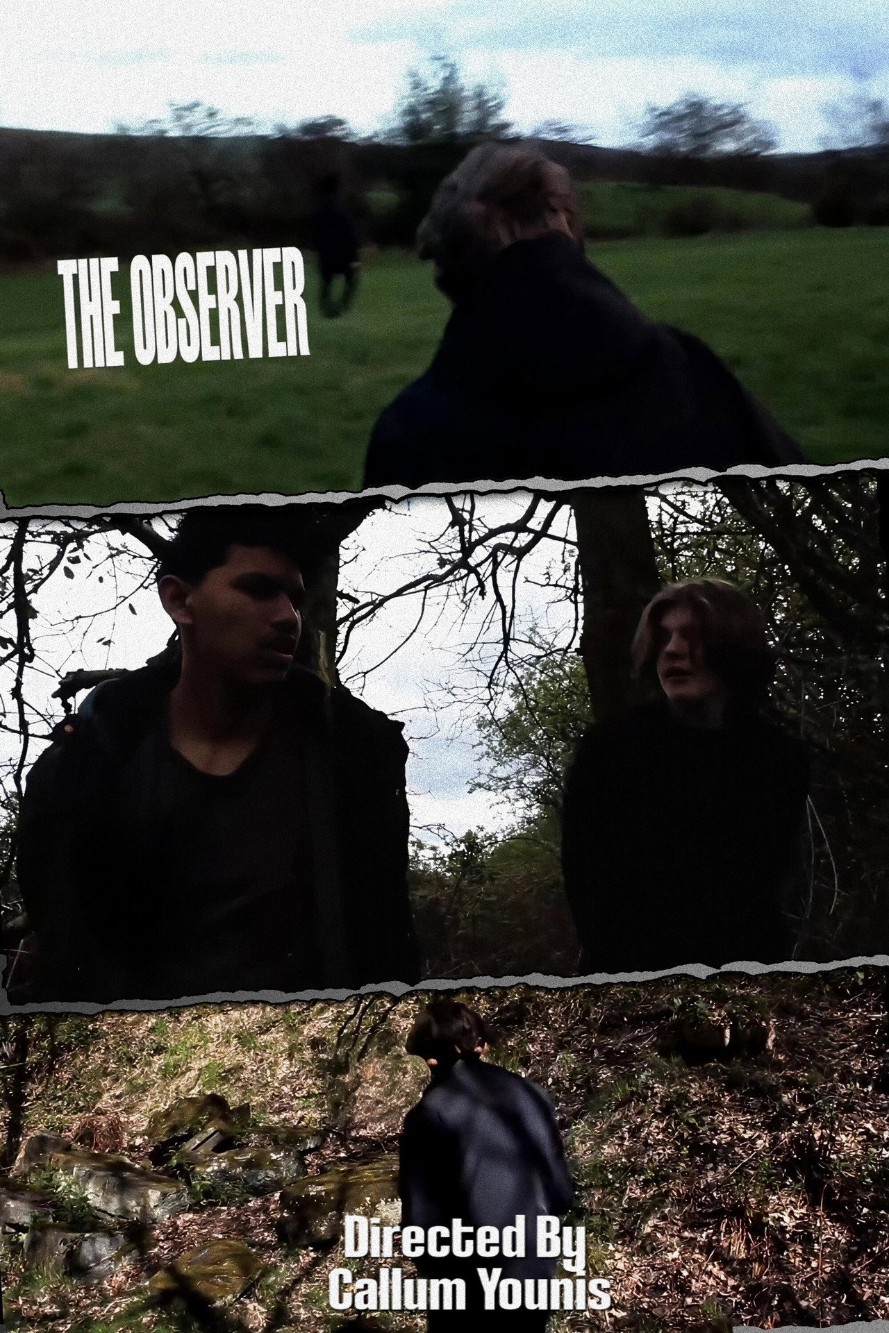 The Observer poster