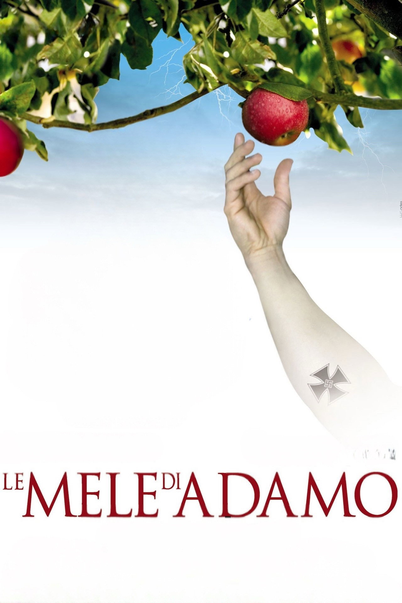 posters 20