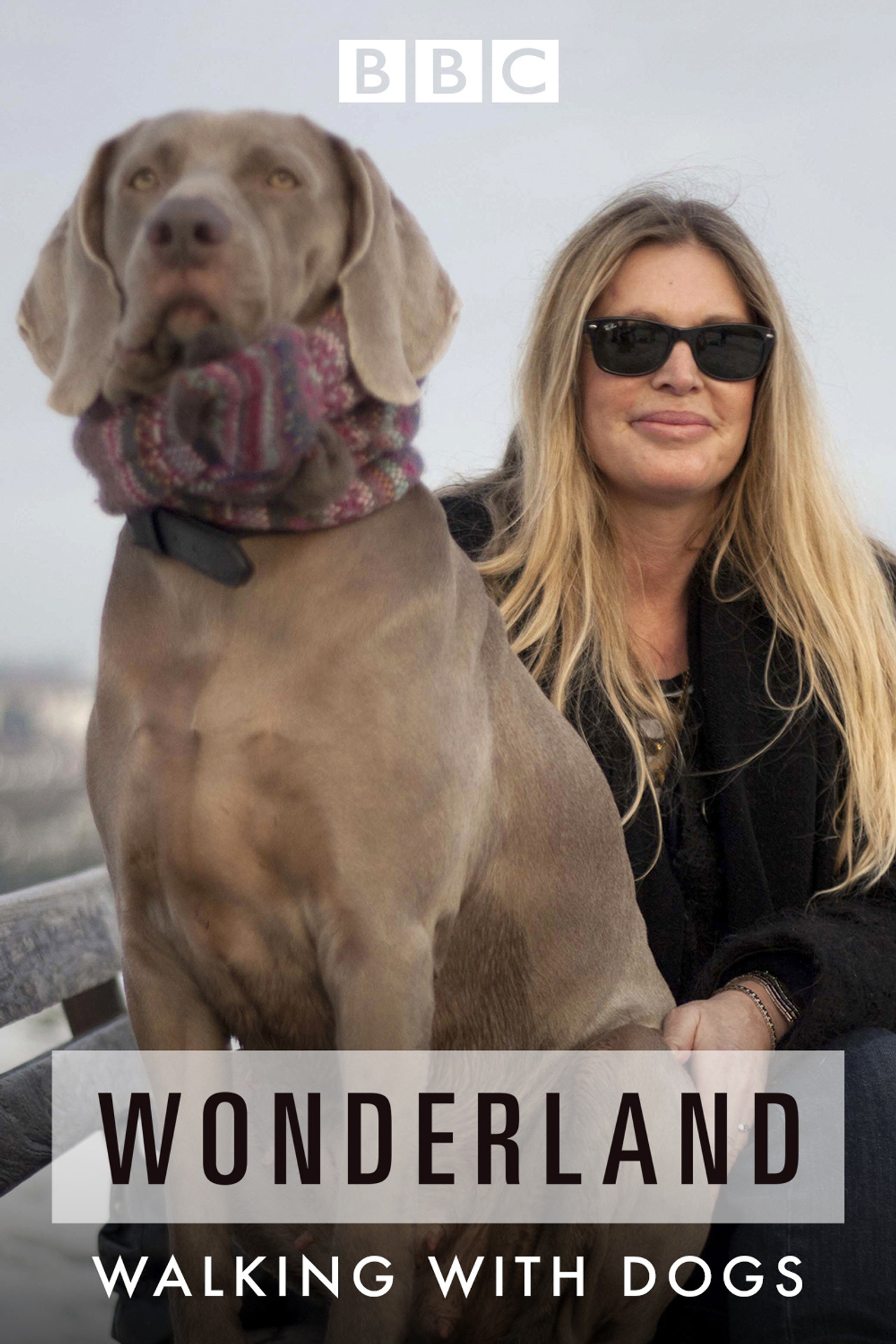 Walking with Dogs: A Wonderland Special poster