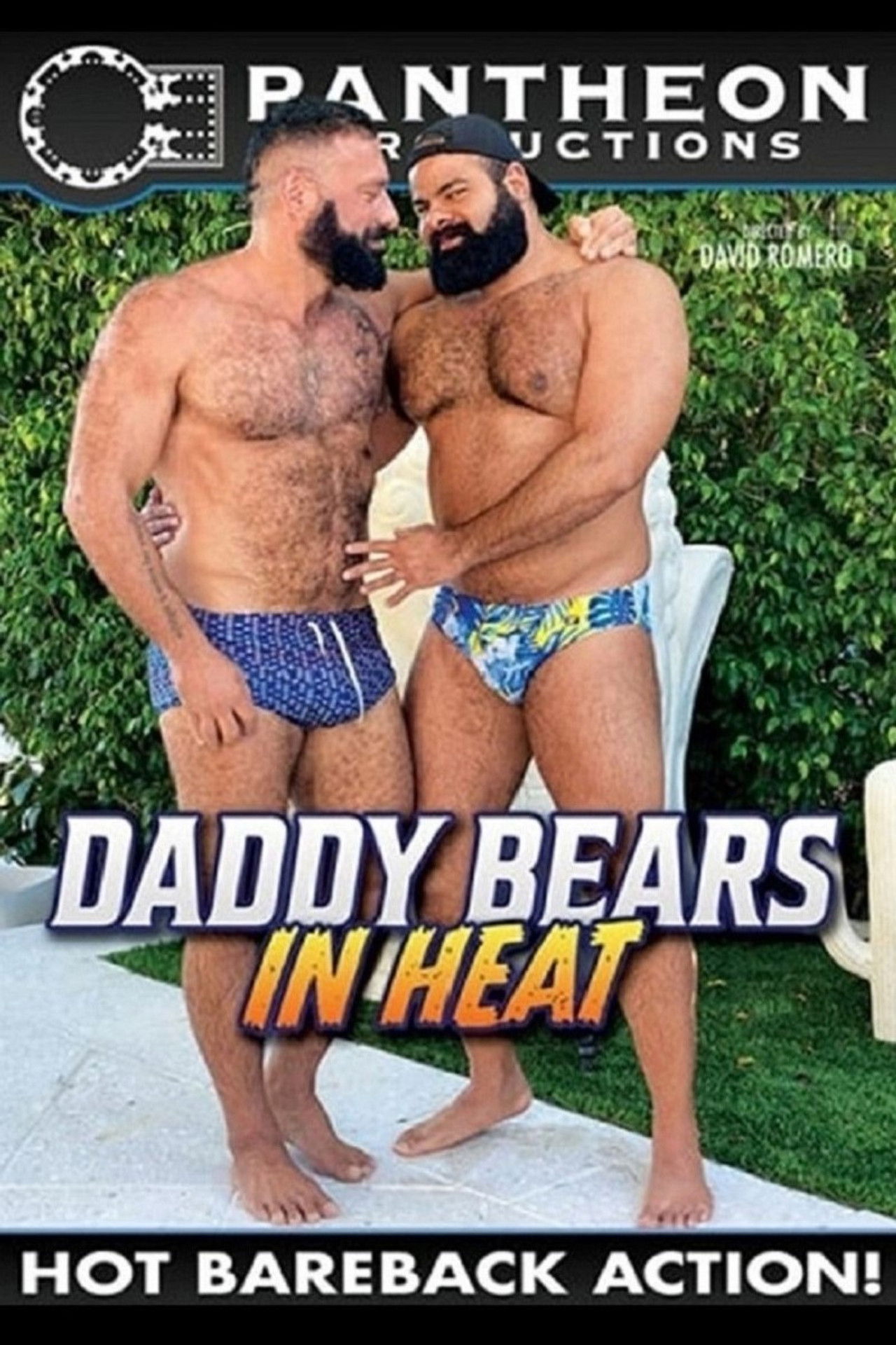 Daddy Bears In Heat Backdrop