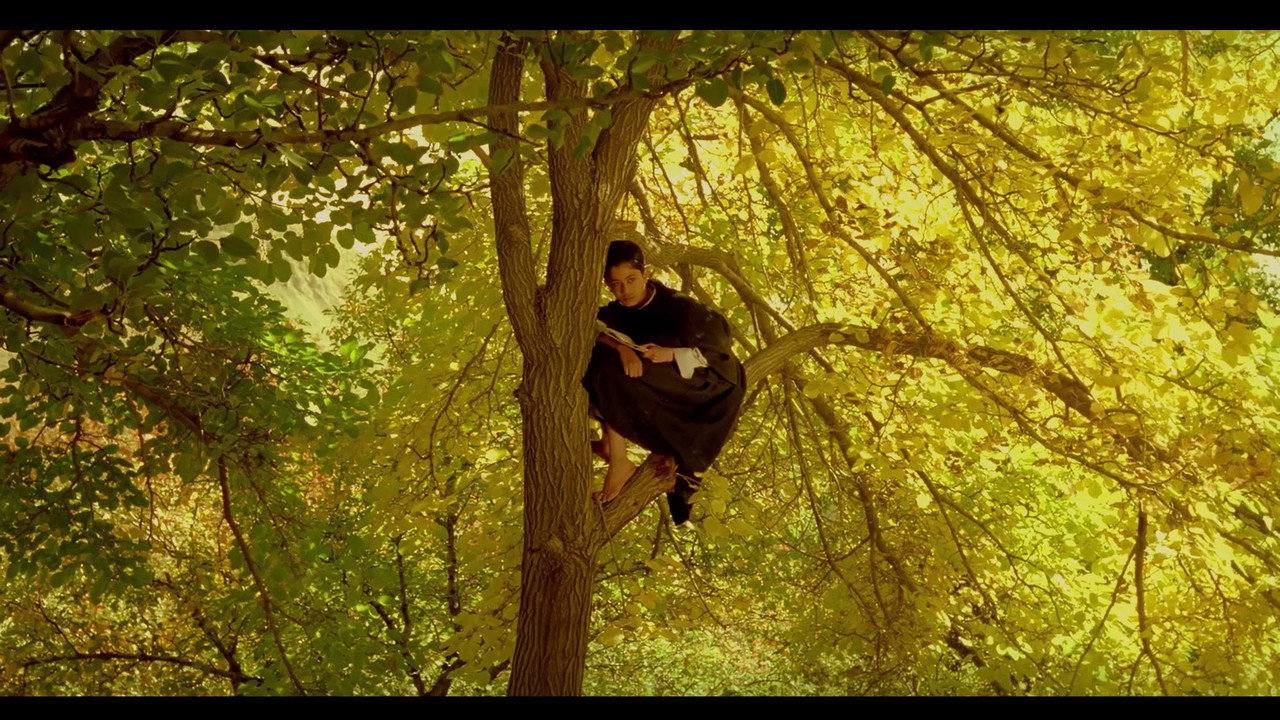 The Pear Tree backdrop