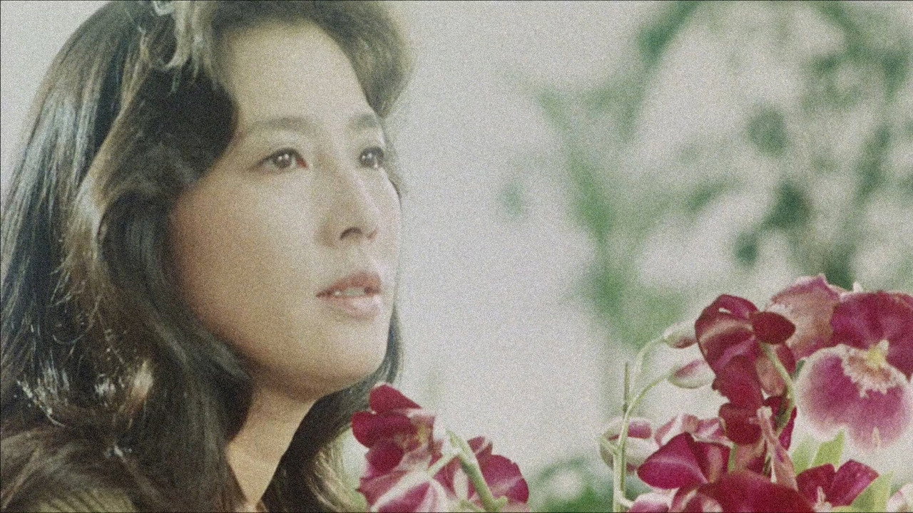 The Second Love backdrop