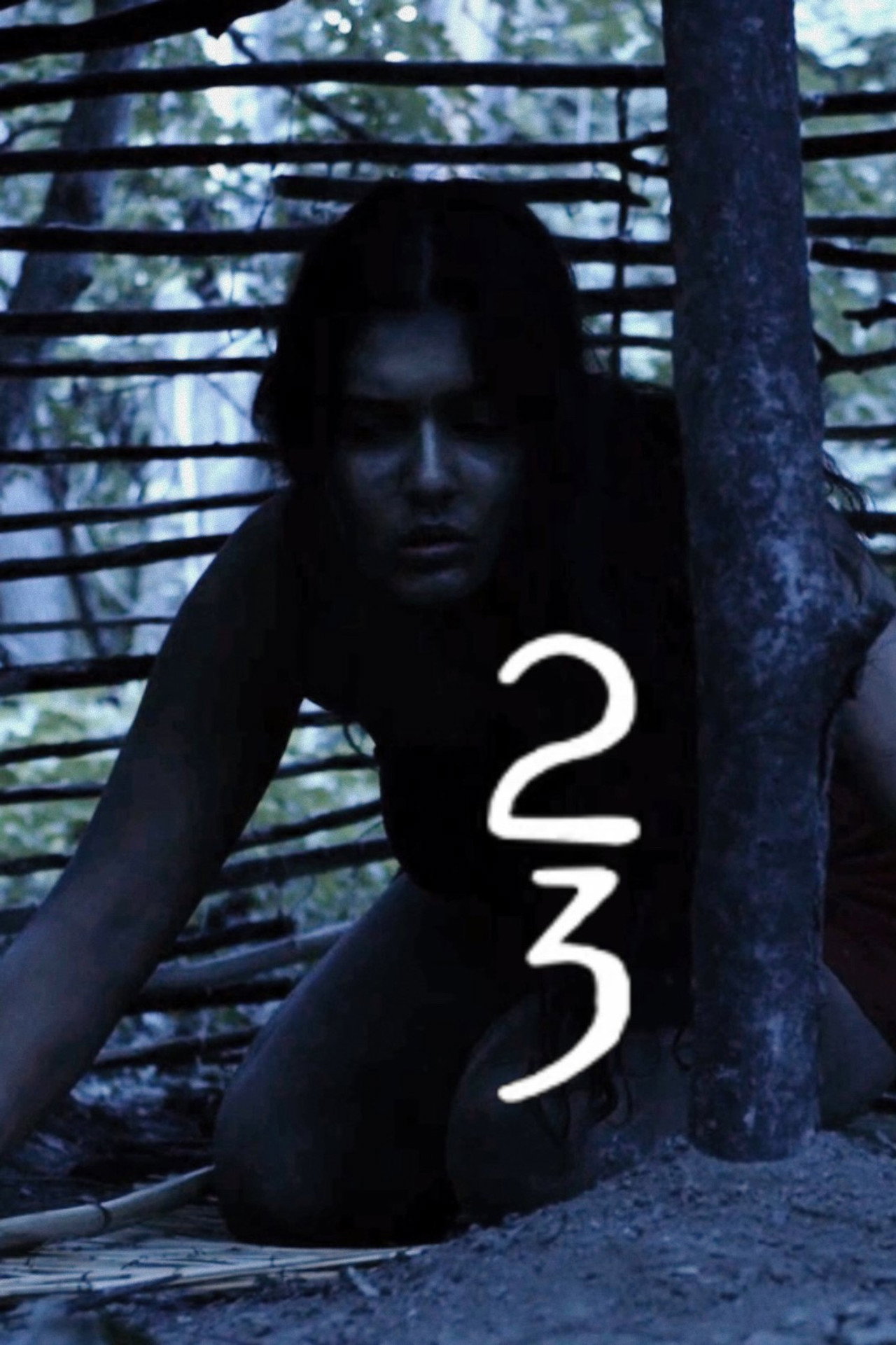 23 Backdrop