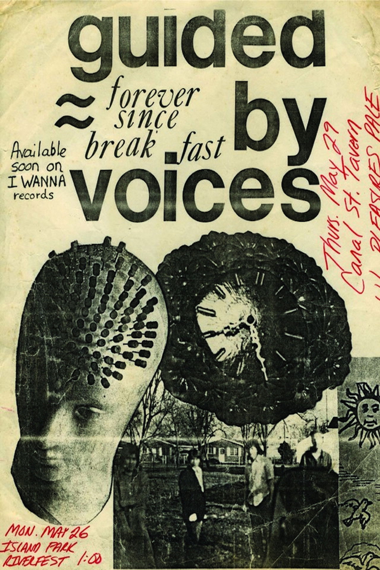 Thank You Very Much For Absolutely Nothing Backdrop