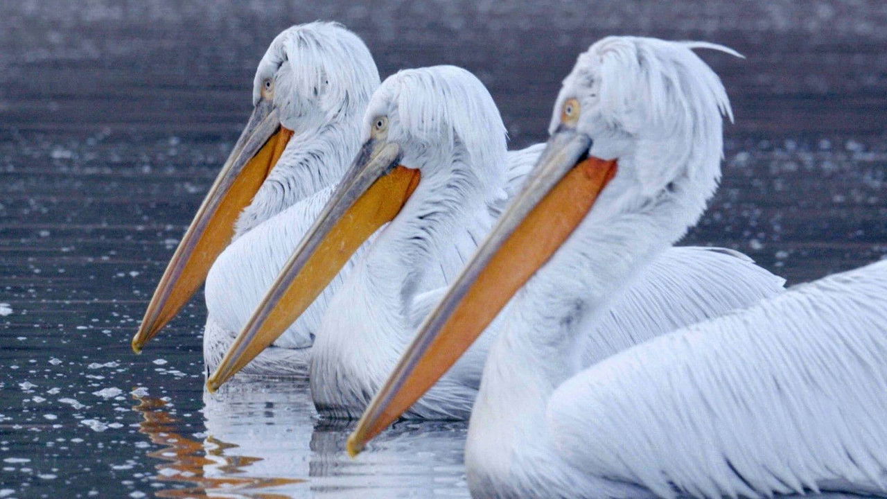 Hidden Wonders of Europe — Épisode 4