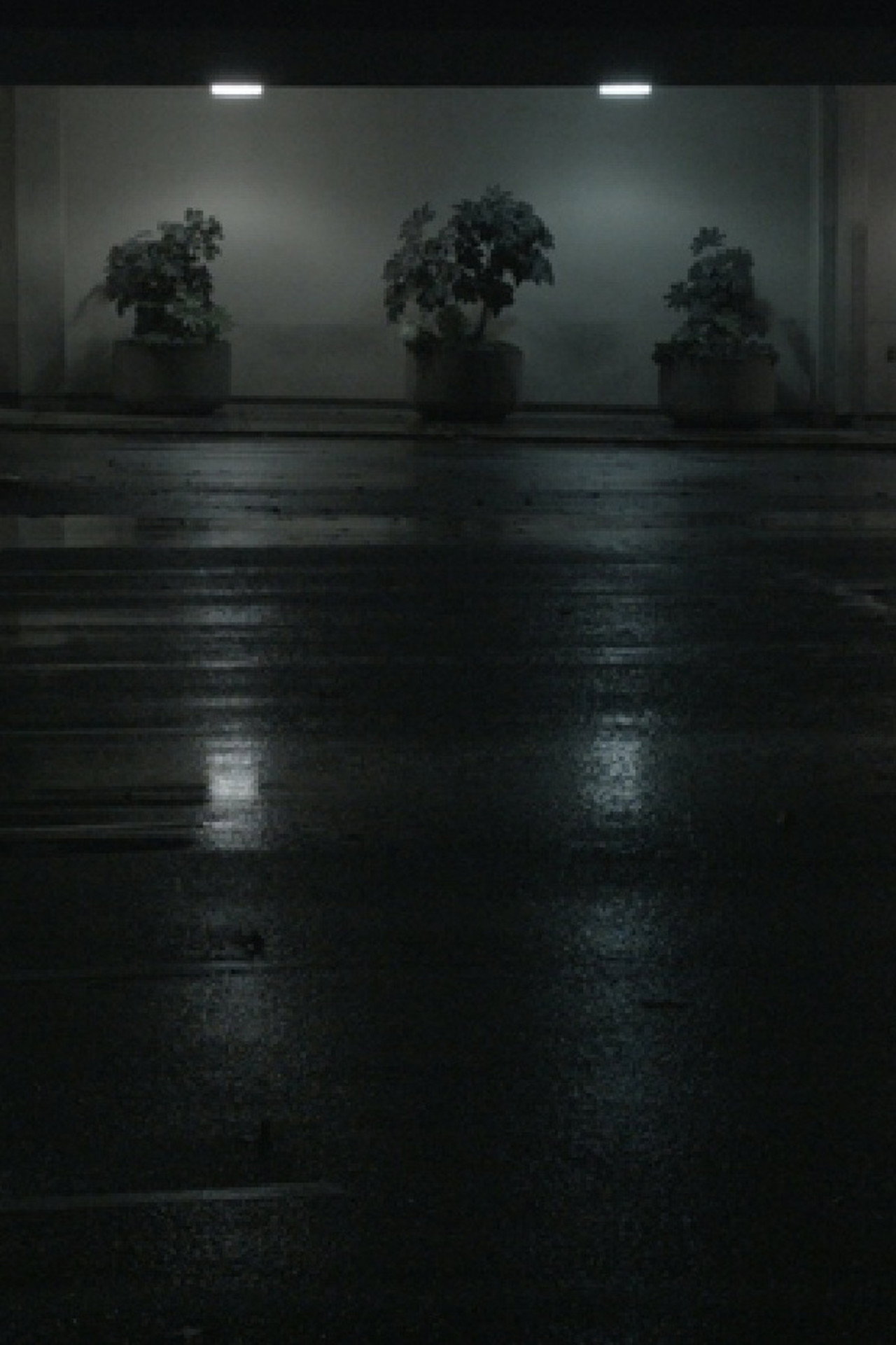 Night Swells filmaffisch