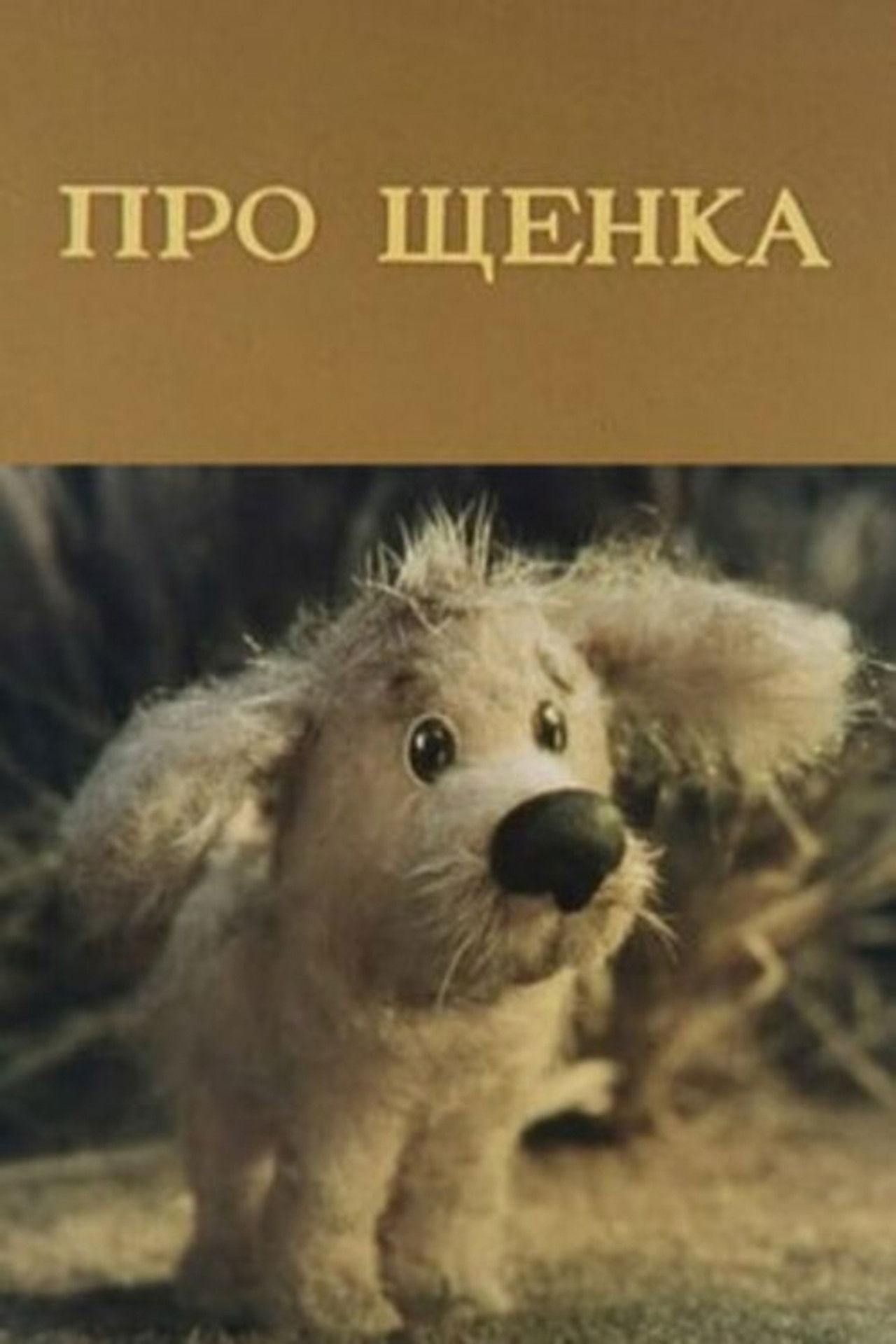 About a Puppy Backdrop