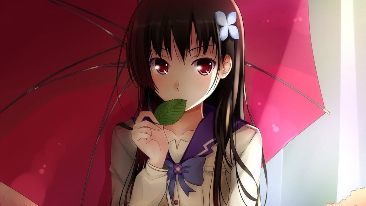 Sankarea: Undying Love background