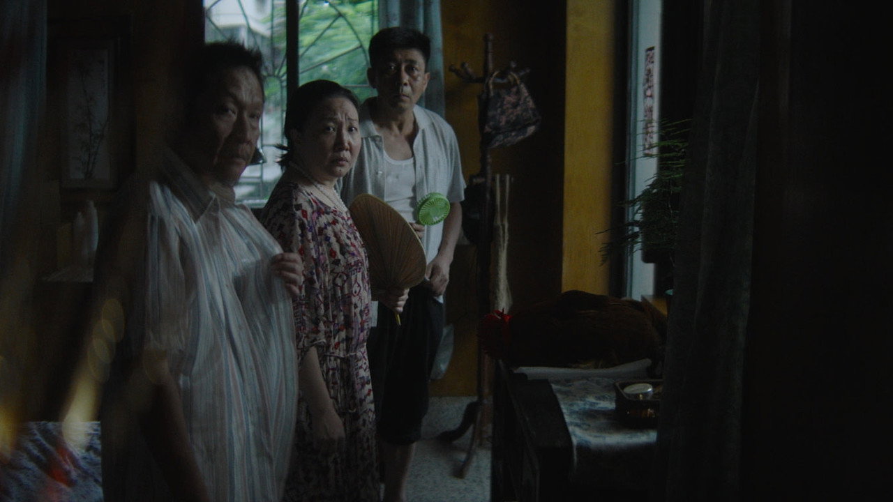 Rooster Girl still 5